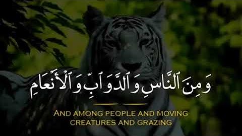 سورة فاطر الآيات من 27 إلى 28