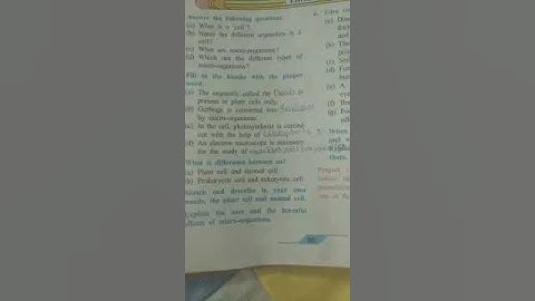 Class 7th Chapter 12 The muscular System and Digestive system in human beings Excercise