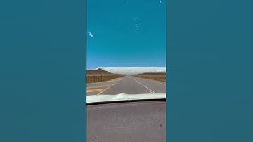 Driving through a locust swarm