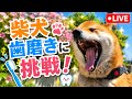 手を食いちぎられながら歯磨き挑戦