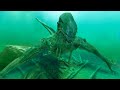 12 Terrifying Objects Found In The Sea
