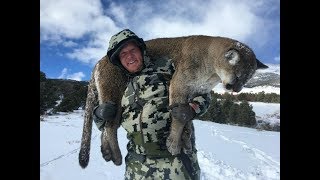 Puma Jakt i USA / Puma Jagd in den USA / Mountain Lion Hunts (JR Hunting 2017) screenshot 1