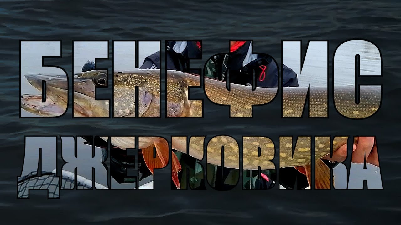 Бенефис джерковика или сольное выступление друга