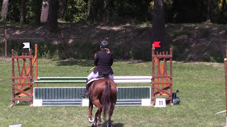 Malin de Tanues -- Concours sur herbe -- Mas de Combe (13 miramas)