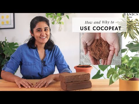 Video: Cocopeat gebruiken voor planten - de voor- en nadelen van Coco Peat-grond