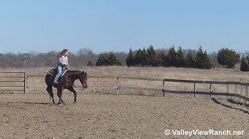 Retta Kat - working the mechanical cow #2 - ValleyViewRanch.net