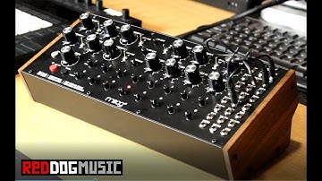 Moog DFAM: Five reasons to love it!