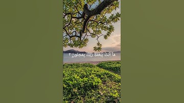 سوره القلم بصوت الشيخ ناصر القطامي
