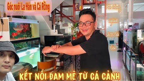 Góc nuôi Cá La Hán và Cá Rồng siêu đẹp của A Chàng dược Sài Gòn-Thái Salem vê lốc