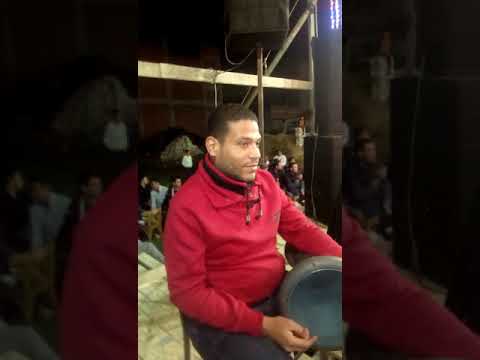 وائل المرسي والسلطنه افراح كفر الفوله 01006889272