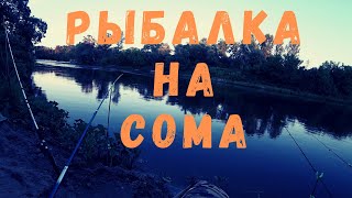 рыбалка на сома с берега - донки работали по всей рыбе! - первый сом!