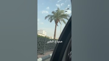 صباحٌ جميل وتلاوة مباركه #عبدالرحمن_مسعد #القرآن_الكريم #سكينة #راحة_نفسية #تلاوة_هادئة #تلاوة