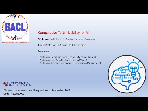 Comparative torts - liability for ai: bacl annual webinar