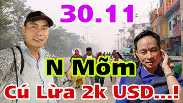 N Mõm Về VN Cú Lừa Donat…! Tết Đến Cò Tâm Linh Tìm PT Trợ Duyên Sang Nepal