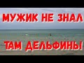 #АНАПА - ДЕЛЬФИНЫ ОПАСНАЯ ОХОТА СРЕДИ ЛЮДЕЙ