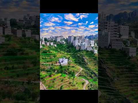 الفنان علي بن علي الانسي نجوم الليل تسألني