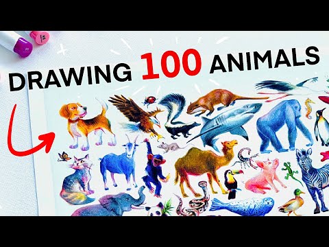 Drawing 100 Animals in 4 DAYS + Ohuhu Markers First Impressions!