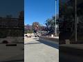 Linda skate clips