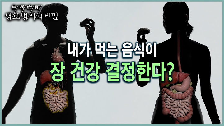 [생로병사 20주년_인체로드] 각종 영양소를 흡수하는 소장, 소장건강을 결정하는 음식의 중요성  (KBS 20211201 방송)
