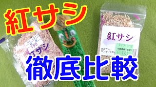 【釣り方】ワカサギ釣りのエサ「紅サシ」研究さぁ　〜　上州屋VSキャスティングねぇ