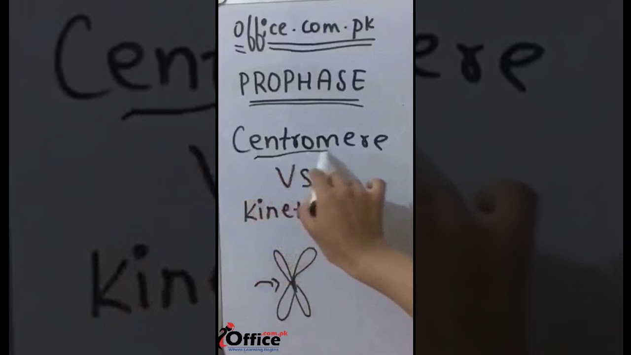 Prophase Definition And Explanation In Urdu Hindi Part 1 Youtube