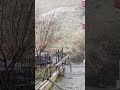 Ankara'ya kar geldi kar yağıyor 🌨️🌨️#keşfetedüş #beniöneçıkart #aboneolun