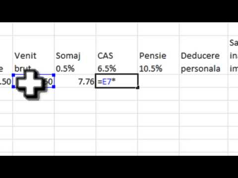 stat de salarii simplu cu Excel