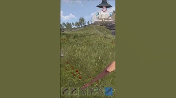 это был чудесеый день для раста ! #rust #растмирейд #vtuber #растмирейд  #игры