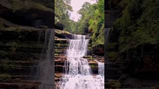Bear Grylls vs The Wild Hills of Meghalaya!#shorts #trending #viral