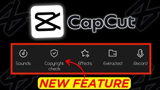 Copyright check tool capcut | Capcut copyright tool screenshot 2