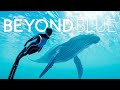 Beyond blue dia 1 una aventura increible