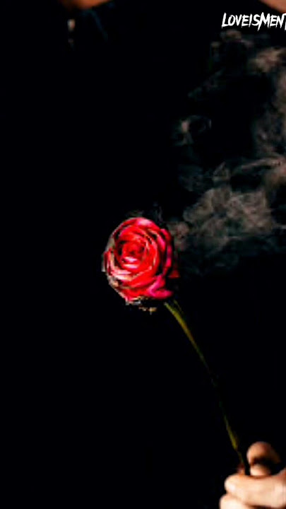 Emma Heesters –Just Missing You (lyrics) #emmaheesters #heartbroken  #trending #viral #song #sadsong