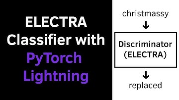 ELECTRA Classifier with PyTorch Lightning