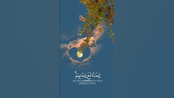 هُوَ ٱلَّذِيٓ أَنزَلَ ٱلسَّكِينَةَ فِي قُلُوبِ ٱلۡمُؤۡمِنِينَ..||تلاوة من سورة الفتح||#محمد_آل_نعيم