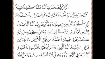 سورة إبراهيم من الآية 24 إلى الآية 27 بصوت الشيخ ياسر الدوسرى