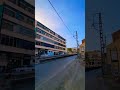 تيارت زينة