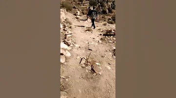 محمية ضانا الطبيعية 