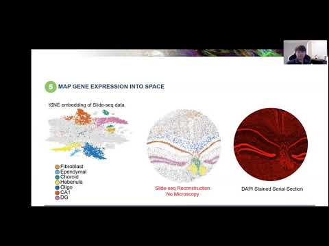 Fei Chen, Slide seq  a platform for understanding cellular circuits in tissue