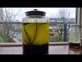 Six Years Ago I Made An Ecosystem In A Jar - This Happened Mp3 Song