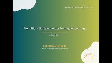 Hermitian-Einstein metrics in singular settings - by Mihai Păun