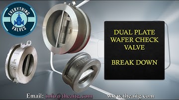 Dual Plate wafer check disassembly. What is a wafer check valve. How to repair a valve. #valves