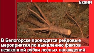 От штрафа до уголовной ответственности