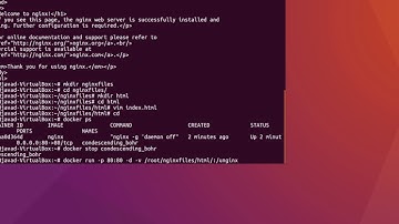 using nginx in docker