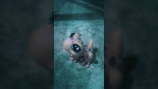 Ukazala Jsem Lps 2 Část