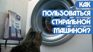 Как пользоваться стиральной машиной? (Пап, а как?)