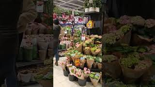 🛒🍇🥖 Discover ICA Kvantum Sweden: Your Ultimate Grocery Haven! 🍅🧀