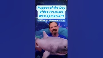 Wed 5pmET/2pmPT premiere of Puppet of the Day August 2025 preview #thepuppethideaway