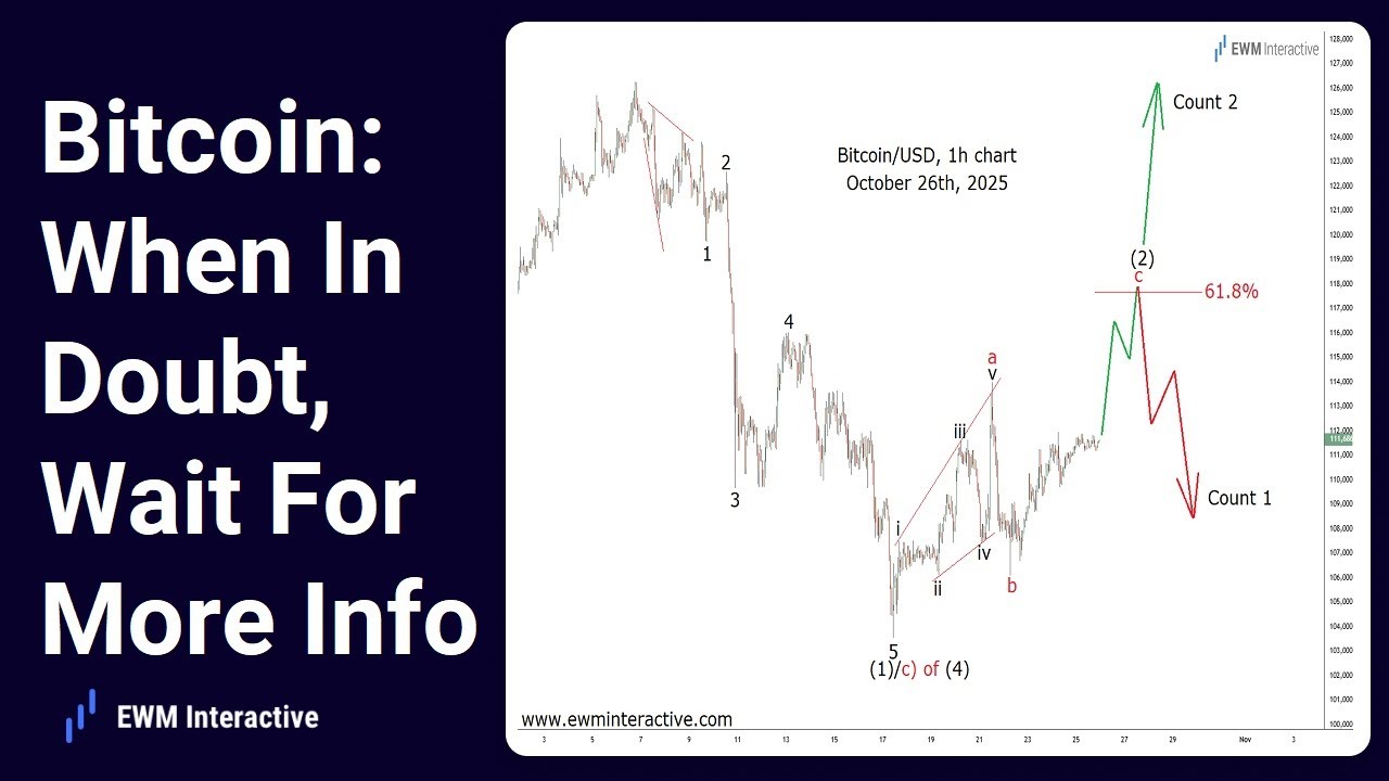 Bitcoin Slide Deepens After Market Confirms the Bearish Wave Count |  Investing.com
