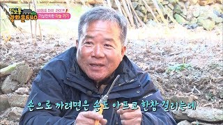 발상의 전환! 마늘까기에는 공기압축기! [정보통 광화문 640] 86회 20171124