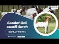 Boer goat farming course trailer in kannada  ffreedom app